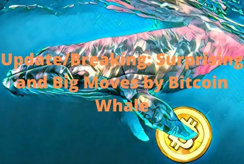 Update/Breaking: Surprising and Big Moves by Bitcoin Whale;Bitcoin Whale;Bitcoin