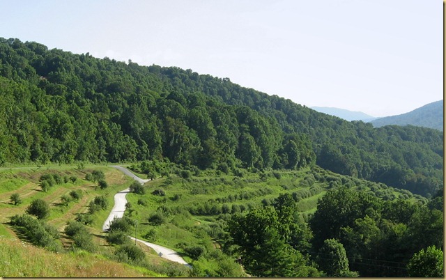 2012-07-21 - Blue Ridge Parkway, MP 330-295 (13)
