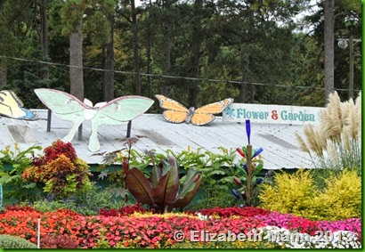 Flower and gardens