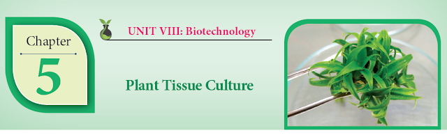 KALVISOLAI ONLINE TEST 93 -  CLASS 12 BIOLOGY BOTANY - CHAPTER 5 PLANT TISSUE CULTURE - 1 MARK QUESTIONS - ONLINE TEST