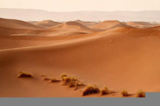 gurun Sahara