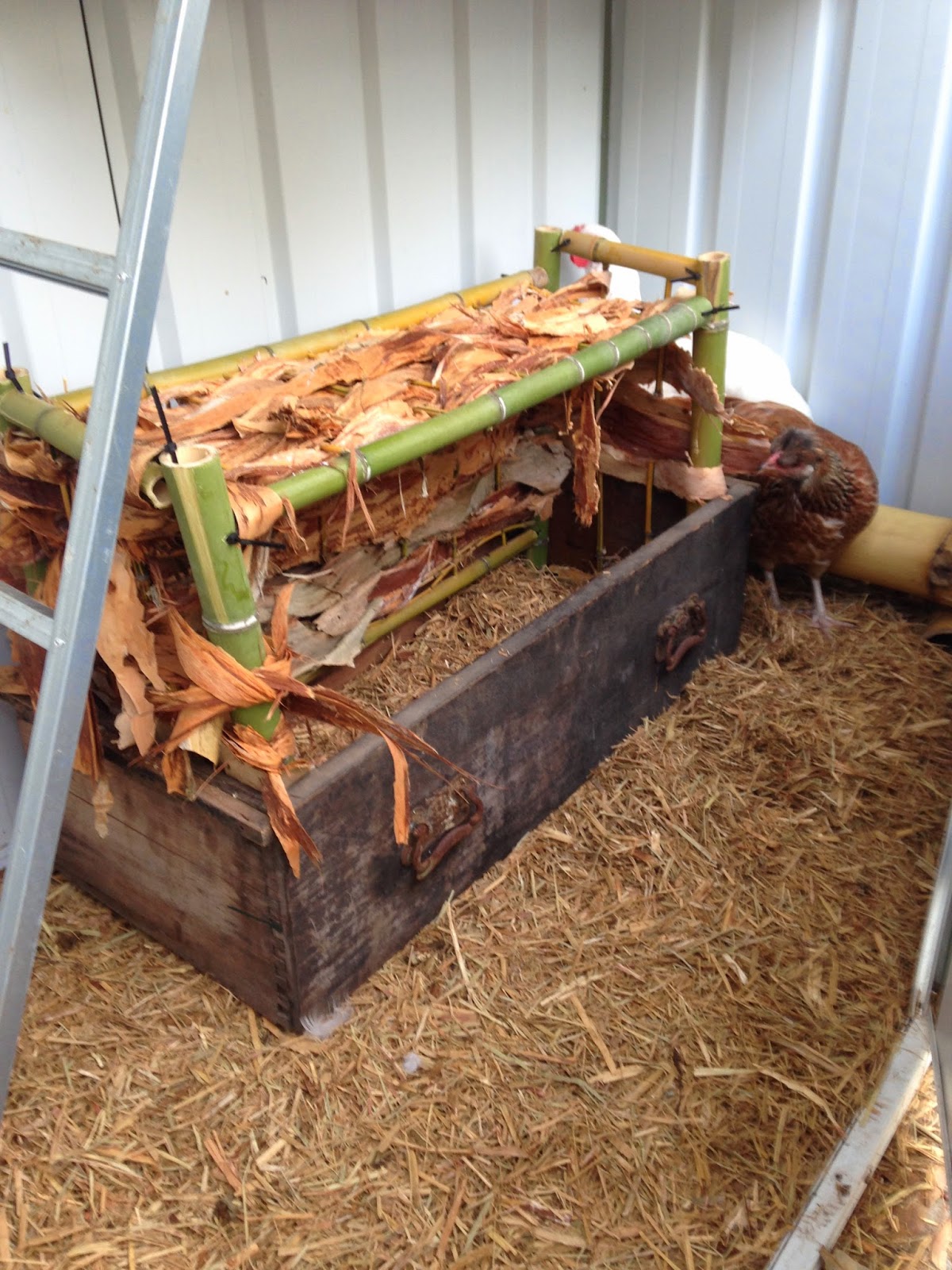 This Small Town Life: Backyard DIY Part 3- Chicken Nesting Box