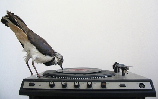 recordHome recordHome