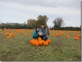 IMG_3047 IMG_3047