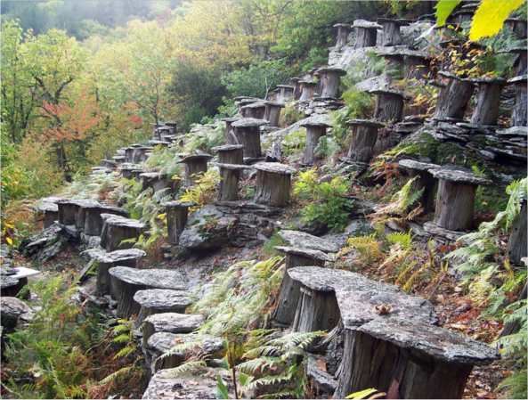 http://lafamiliapicola.blogspot.com/2016/06/antiguo-apiario-en-francia-old-hive-in.html