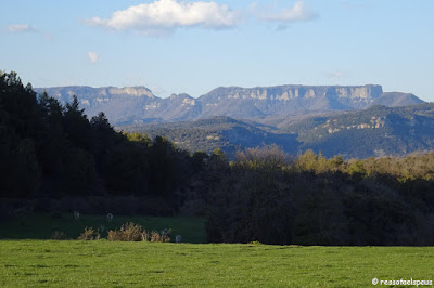 Els cingles de Vilanova i el puig del Far