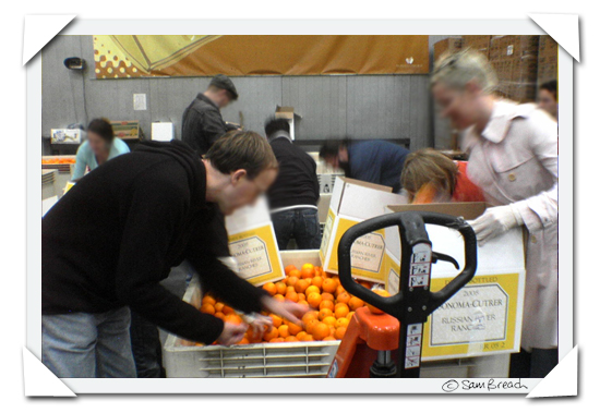 picture photograph 2007 copyright of sam breach http://becksposhnosh.blogspot.com/ bay area food bloggers volunteer day at the san francisco food bank http://sffoodbank.org/