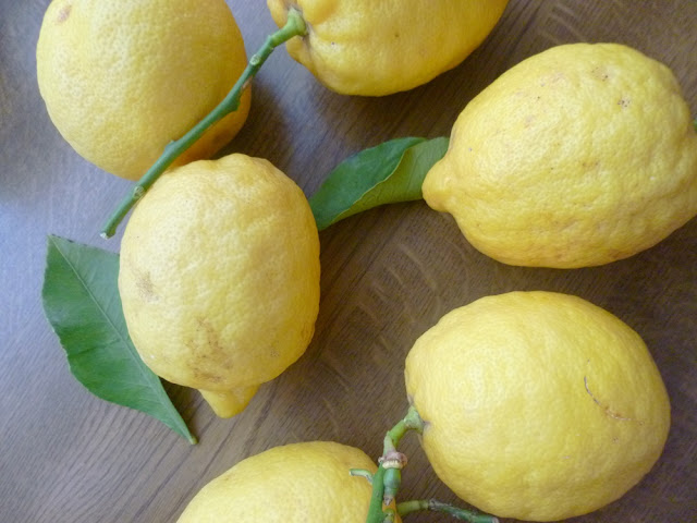 Eingelegte Zitronen auf die Schnelle