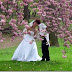 How to Select Degree Wedding Photos