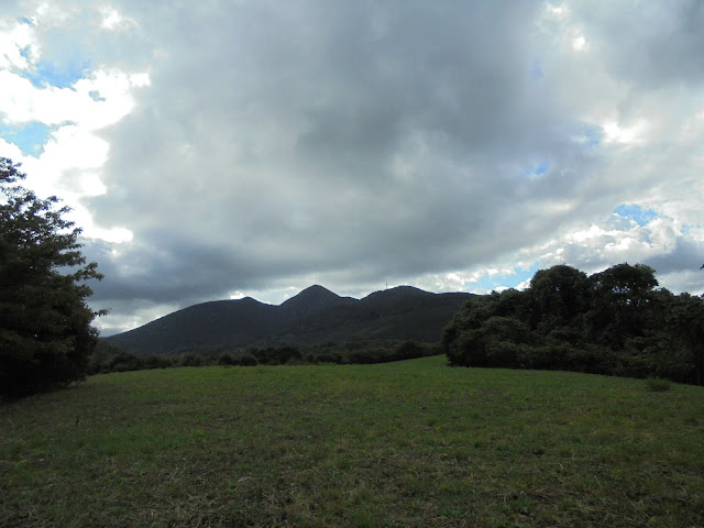 森と草地と遠景に孝霊山