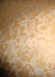 DSC01372