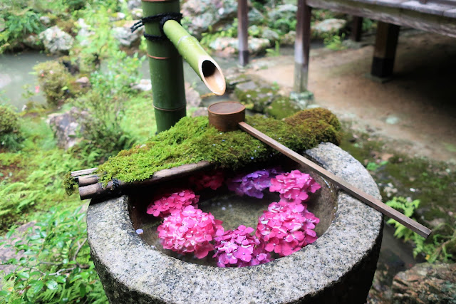 柳谷観音 楊谷寺 あじさい寺 花手水