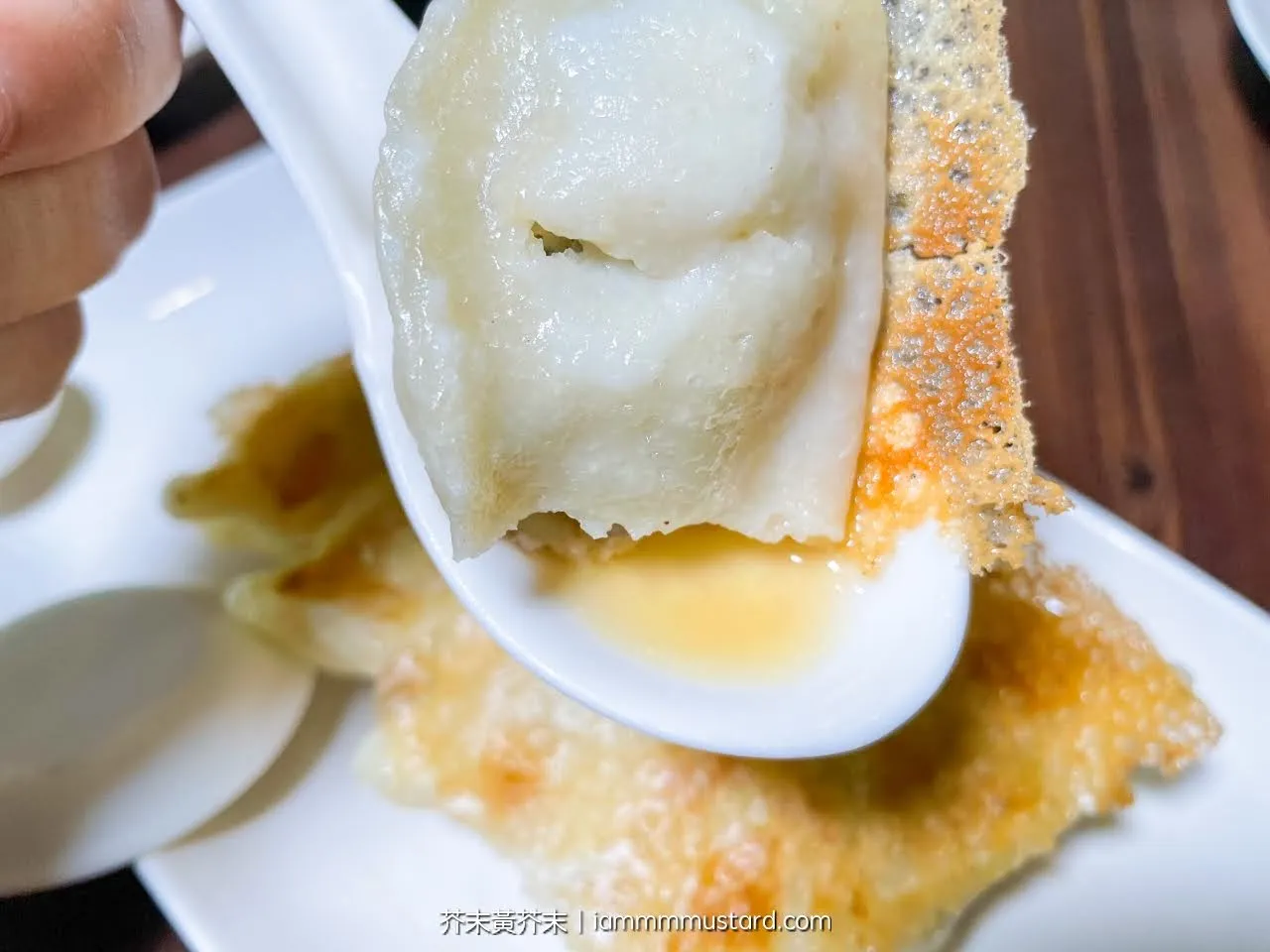 台中美食｜黃金張老甕東北酸菜白肉鍋｜天然發酵酸菜好湯頭、手工麵點味道一流