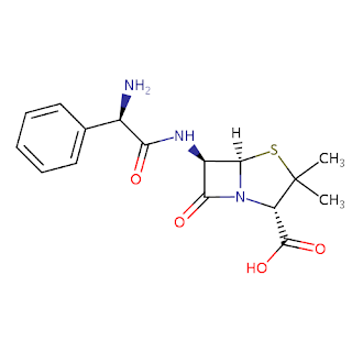 Mekanisme aksi Antibiotik Ampicillin (Ampisilin)