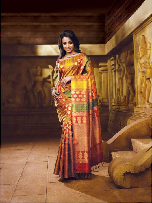 trisha in saree hot images