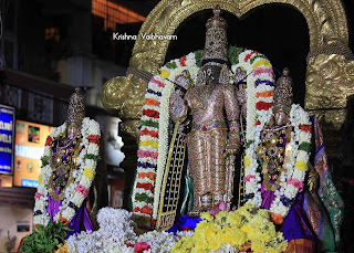 Rathnangi Sevai, Peyazhwar, Mylapore, Sri Parthasarathy Perumal,Pavitrotsavam, Day 03, seriya Veedhi purappadu,  Venkata KRishnan,Purappadu, 2019, Video,Divya Prabhandam,Triplicane,Thiruvallikeni,Utsavam,