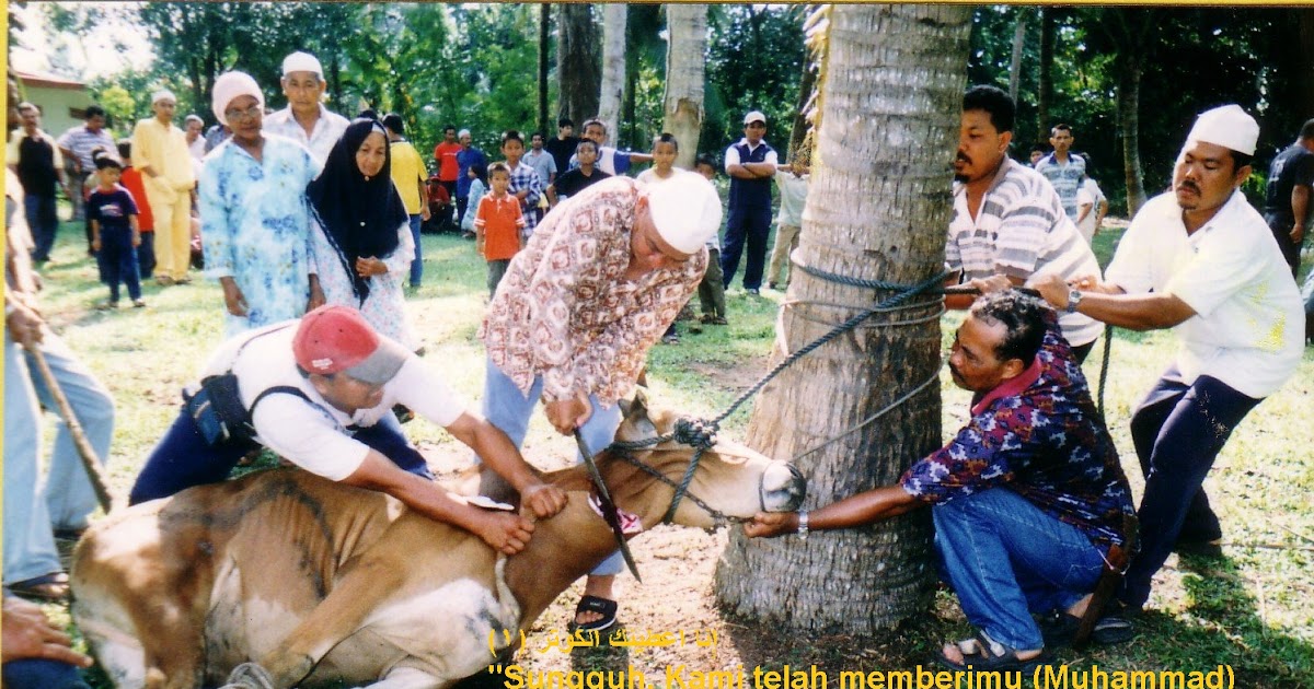 Manfaat Qurban Pada Hari Raya Idul Adha - Berita Viral 