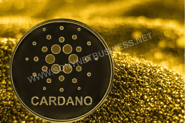 Cardano expands, with a 1600% increase in ADA wallets by 2022
