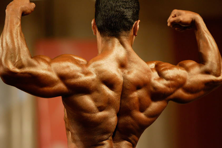Bodybuilding Pic,s & Tips ( POWER HOUSE ): Body Builders Back View