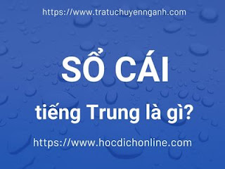 Sổ cái tiếng Trung là gì?