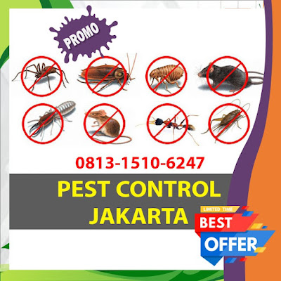 Pest Control Basmi Tikus, Nyamuk, Kecoa, Rayap Di Kota Jakarta Selatan