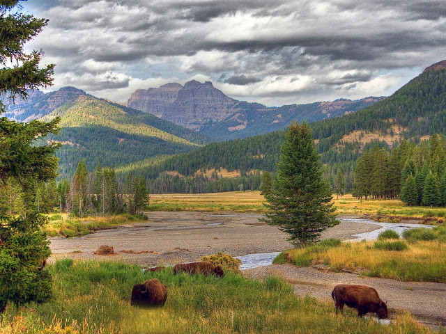 Yellowstone National Park