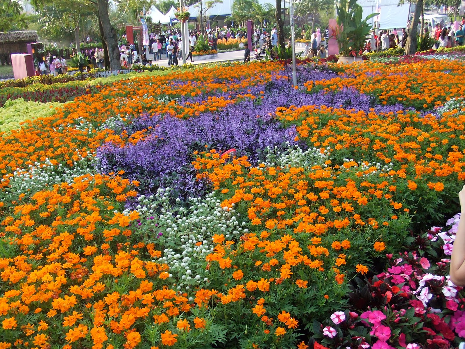 Teratak Impian Ibu Festival Bunga dan Taman Putrajaya 