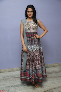 Sakshi Chaudhary Beautiful Emroidery Work Sleeveless Anarkali Dress 067.JPG