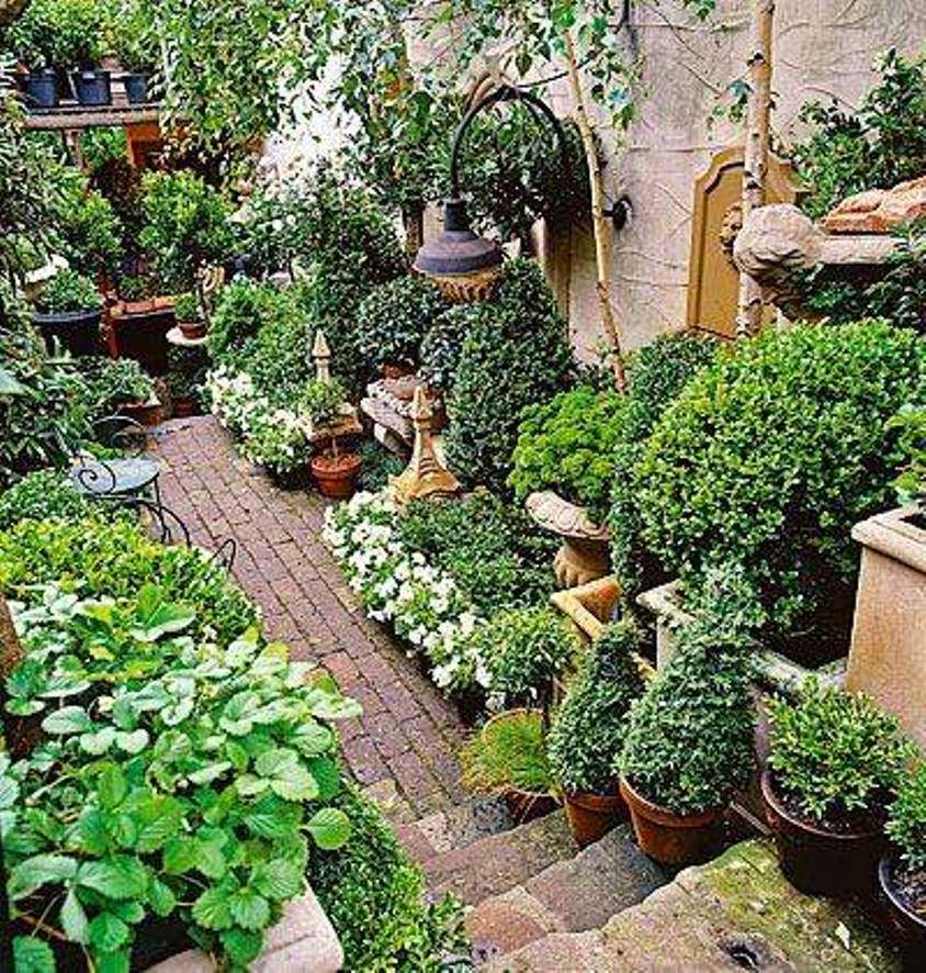 Ideias Inspiradoras para Pequenos Jardins - Design Innova on 10 Plants For Courtyard Gardens Design
 id=94474