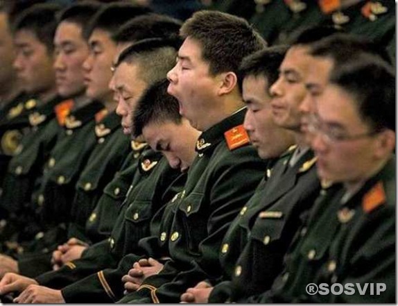 Forever Alone diferentes.jpg (1)