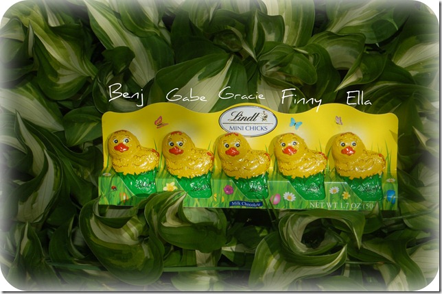 mychickens