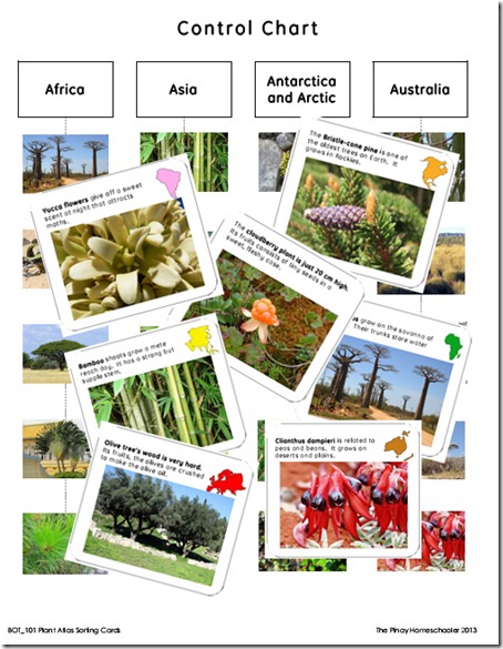 bot_leafchart copy
