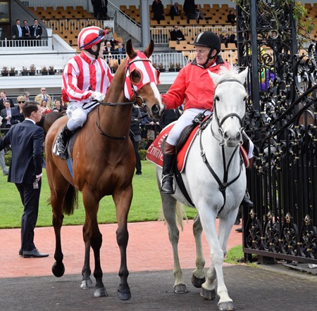 race6_we've got this 1