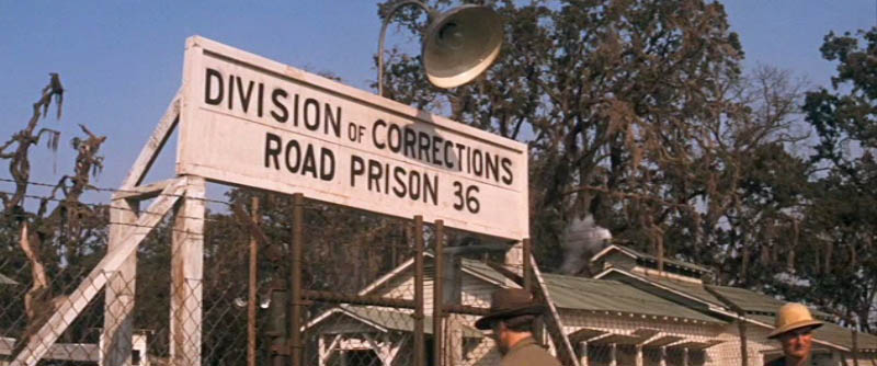 Image From Cool Hand Luke courtesy of Warner Brothers