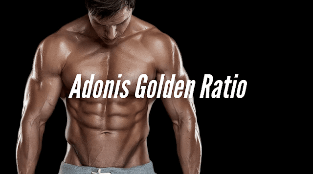 Adonis Golden Ratio Workout Program