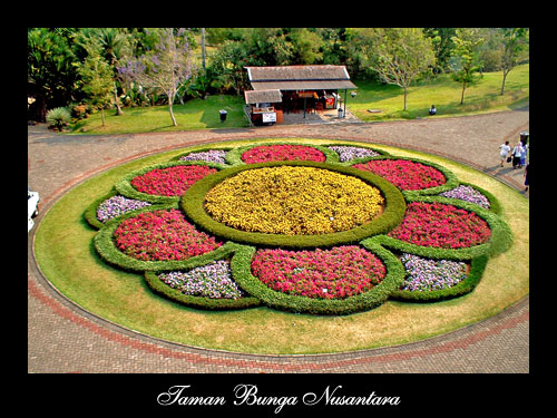 Taman Bunga: Dekorasi Taman Bunga minimalis