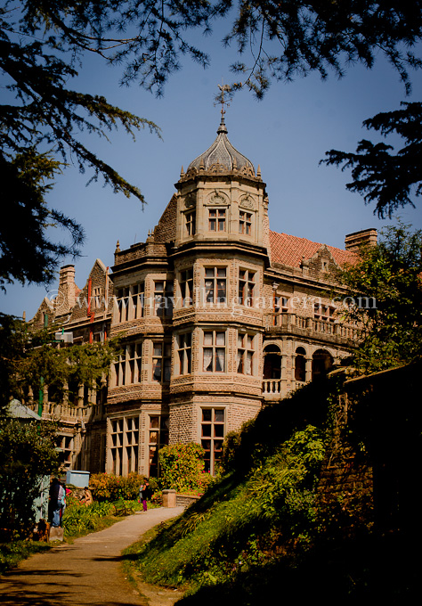 During one of my recent visits to Shimla, schedule was really busy and I also wanted to visit Viceregal Lodge. Usually I go to Viceregal Lodge via HPU route or walk down from Mall Road. This time the route changed and first time I climbed from Boileuganj...Here is first view we get after climbing a hill from boileuganj.I have stayed in Shimla for 3 years approximately but never went through this route, although it's quite easy and quick one to reach Viceregal Lodge. Buses for Boileuganj are very easily available from bus stand and Himachal Pradesh University. And then it's a 15 minutes climb which is not very steep.It starts from the chowk where roads from Tutoo, Summerhill, Bus-Stand and University meet. And lagoors will be there to welcome you. It's not very special because they can be found anywhere in Shimla to welcome you :)During the climb, HPTDC (Himachal Pradesh Tourism Development Corp.) Hotel 'Peter Hoff' can be seen just below the TV tower of Shimla. Peter Hoff is one of the good hotels in Shimla and it's situated next to Viceregal Lodge. Exactly it's in the middle of Chaura Maidaan and Viceregal Lodge. Via bus, it's accessible from 103. 103 is a bus stop near tunnel-no 103 and very popular stop in Shimla.New Bus Stand of Shimla is also visible during the climb. This is first time I saw this bus stand and it was amazing. I wanted to compare it with IGI airport but stopped myself :) ... But for sure, it's best among all the bus stands we have in North India at least. it's situated near Dhali. Old bus stand has been converted into Local bus stand and there are regular shuttles between new and old bus-stands. While coming back to Delhi, I did some mobilegiri at Shimla Bus stand and will share soon...Himachal Pradesh Judicial Academy also comes on the way from Boileuganj to Viceregal Lodge.It's a wonderful walk from Boileuganj to Viceregal Lodge as whole stretch is full of trees and nice flowers around. At times it feels like you are crossing through some garden. There are some governments residences as well, which makes this hill more lively.Apart from some institutes and houses, there are some buildings which seemed to be locked for last many years. But somehow, colors lie about these buildings. The building above shown was closed from all the directions and there seemed to be a long silence around the place.After a quick climb, we reached Viceregal Lodge. It was so quick that I forgot to mention that one of my cousin was accompanying me and we also discussed some changes happening in his institute in HPU (UIIT). Overall this was a fastest route to Viceregal Lode but probably I will still prefer the longer route which comes through Vidhan-Sabha, Cecil etc.