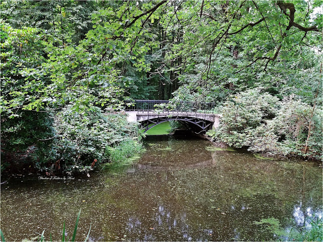 Mostek w parku Zamek Moszna