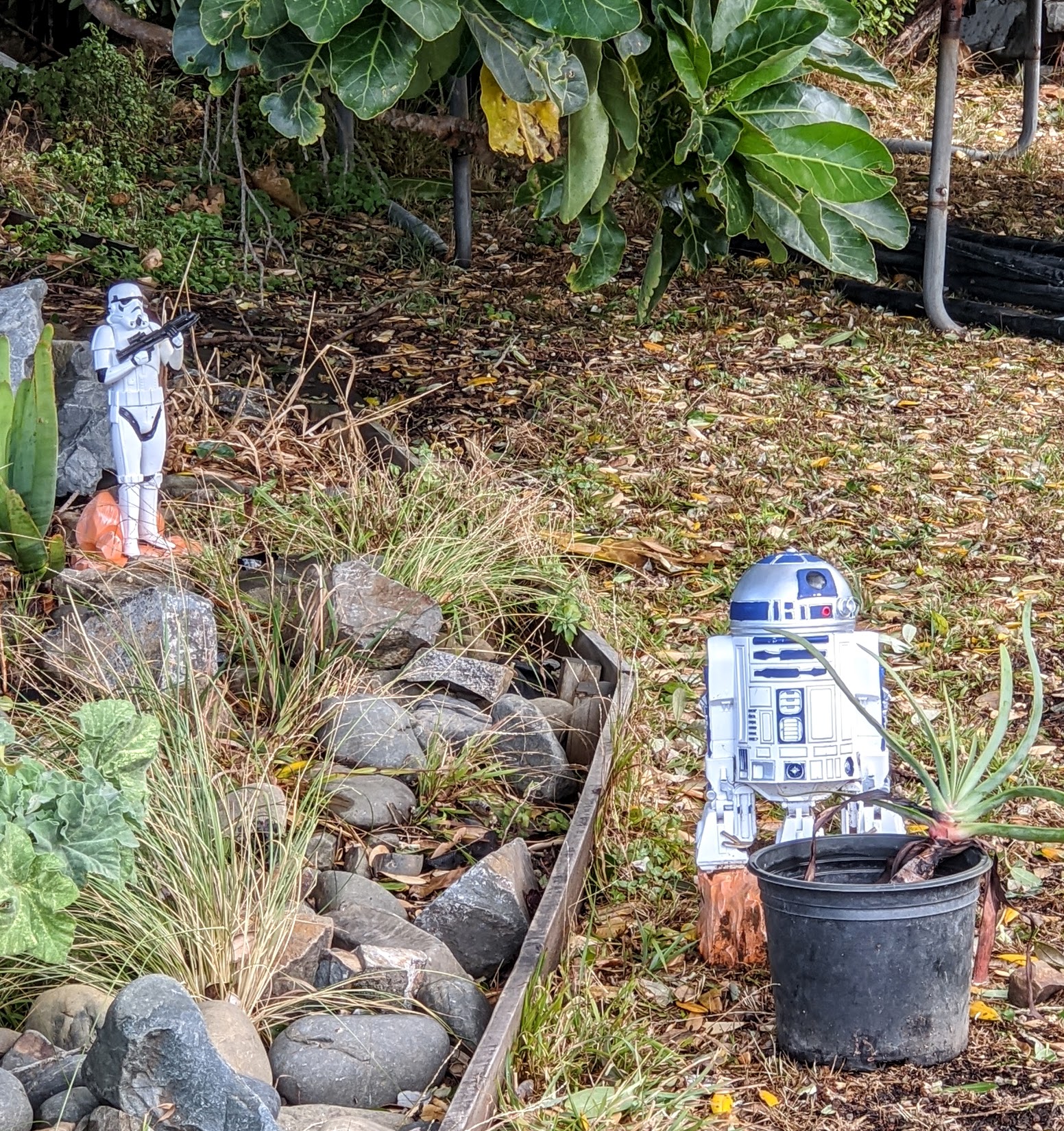 Star Wars figures as part of the 2020 bear hunt for kids during lockdown