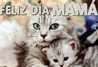 Feliz Dia Mama, parte 3