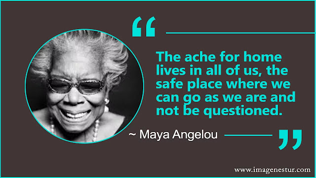 Maya Angelou Quotes About phenomenal