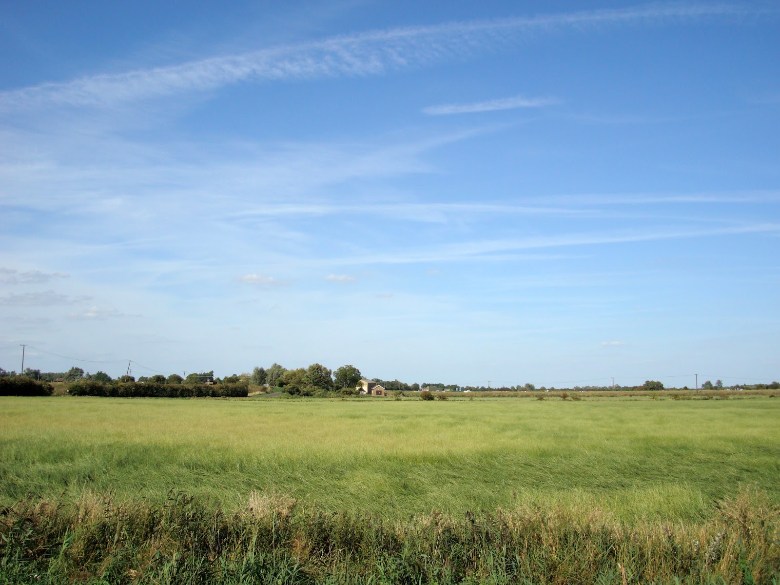 DSC09658.JPG