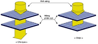 Hình 10 - Tấm phân cực trên mỗi điểm mầu thường được sẻ rãnh vuông góc.