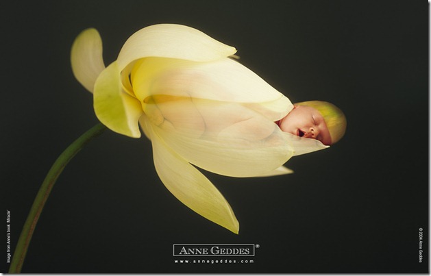 AnneGeddes_Wallpaper1024_130