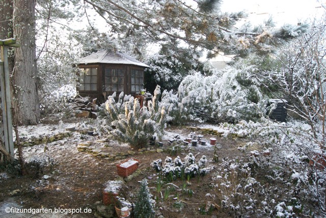 Garten im Januar mit Schnee