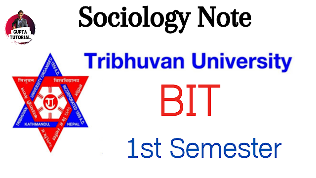  Sociology Notes