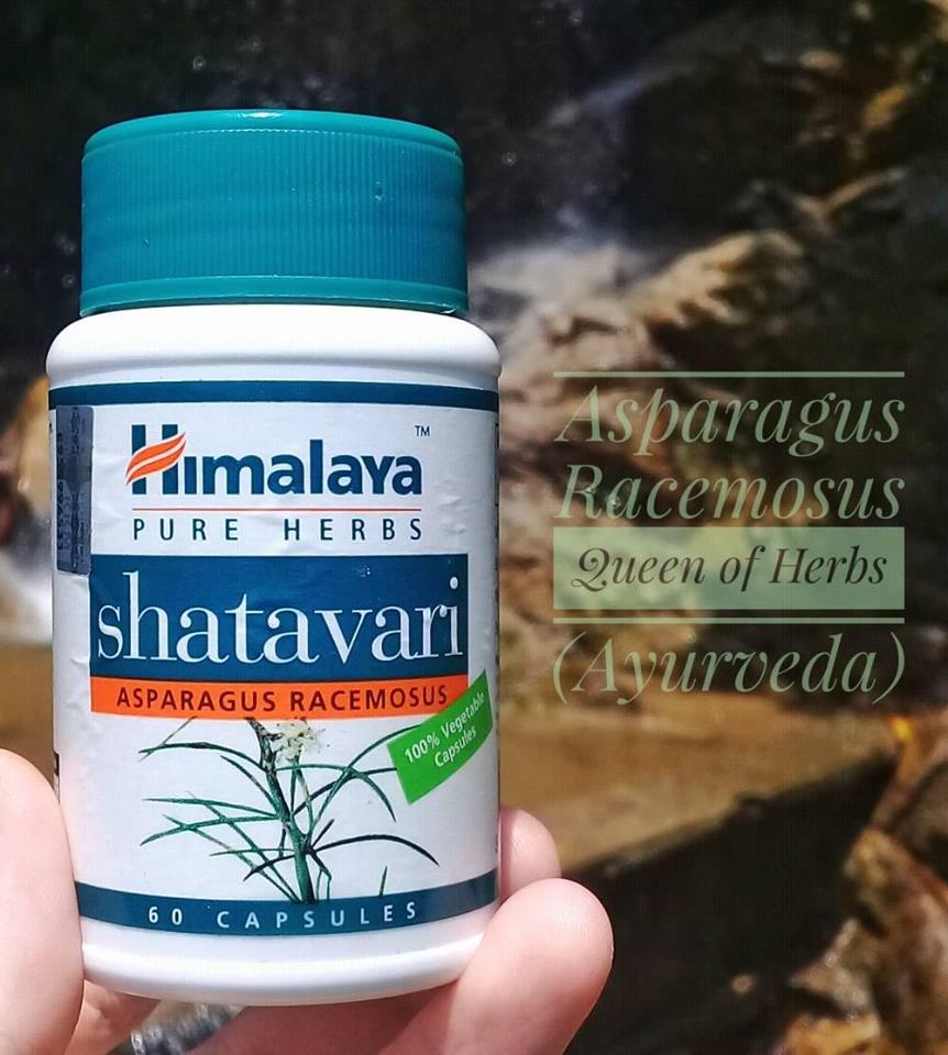 Kesan Pengambilan Shatavari Himalaya Asparagus Racemosus 