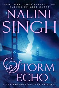 Storm Echo cover