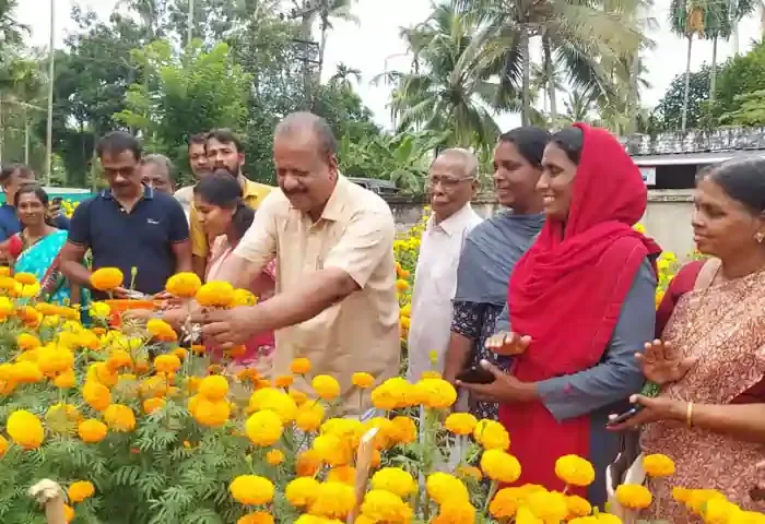 Onam, Celebrations, Kerala Festivals, Malayalam News, Flowers bloom at farm in Edavilangu panchayat.