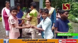  ചങ്ങാതിക്ക് ഒരു മരം പദ്ധതിയുടെ ഉദ്ഘാടനം  നടന്നു